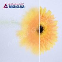 Verre solaire à revêtement AR