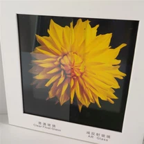 Cadre photo en verre
